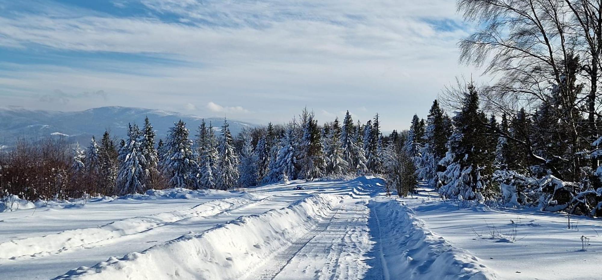 Zagroda Lepiarzowka Bed & Breakfast Wisla Luaran gambar